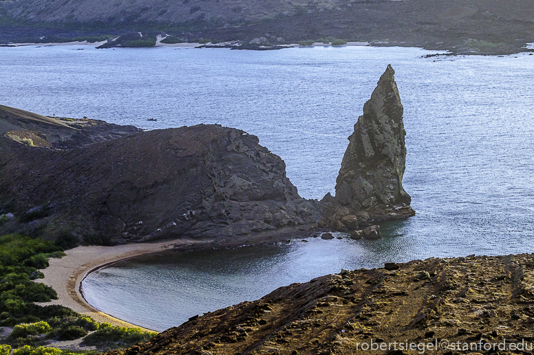 galapagos